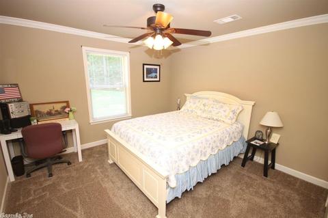 250 Reuben Dr, Alexander, AR 72002 photo 23