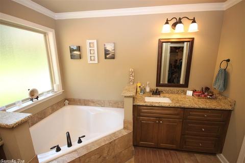 250 Reuben Dr, Alexander, AR 72002 photo 19