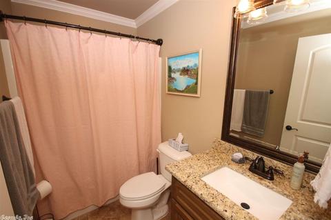 250 Reuben Dr, Alexander, AR 72002 photo 27