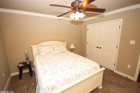 250 Reuben Dr, Alexander, AR 72002 photo 25
