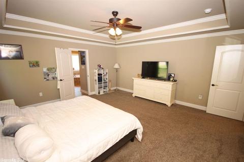 250 Reuben Dr, Alexander, AR 72002 photo 15