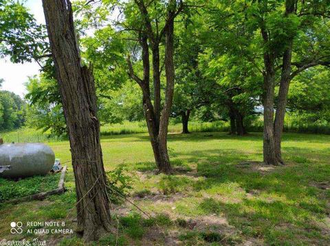 507 W Main St, Marshall, AR 72650 photo 20