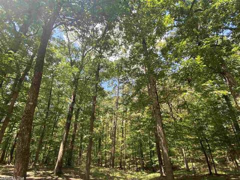 139 E Travis Ln, Mount Ida, AR 71957 photo 3