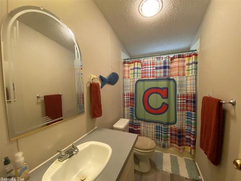 139 E Travis Ln, Mount Ida, AR 71957 photo 20