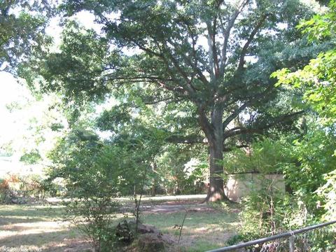 385 Windwood Loop, Cabot, AR 72023 photo 16
