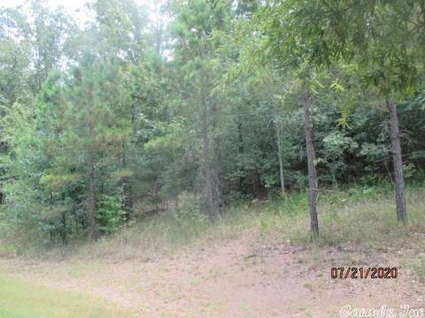 79 Hickory Bend Dr, Cabot, AR 72023 photo 3