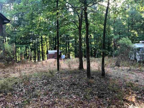 437 Demuth Ln, Benton, AR 72019 photo 6
