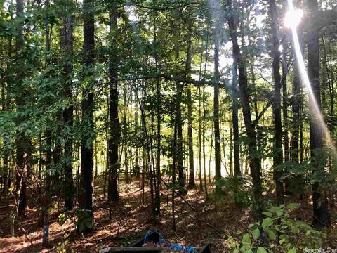 437 Demuth Ln, Benton, AR 72019 photo 16
