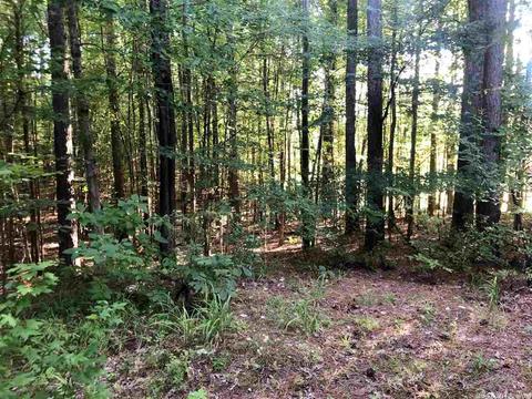 437 Demuth Ln, Benton, AR 72019 photo 17