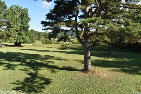 117 Rolling Hls, Mount Ida, AR 71957 photo 32