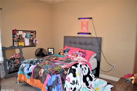 44 Bowling Ln, Conway, AR 72032 photo 20