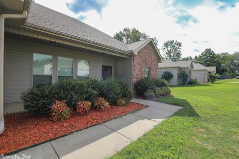 307 Derek Ct, Alexander, AR 72002 photo 4