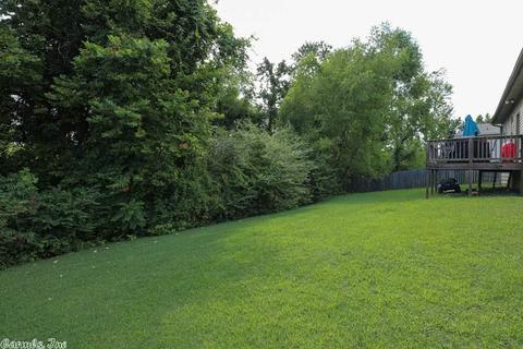 307 Derek Ct, Alexander, AR 72002 photo 40