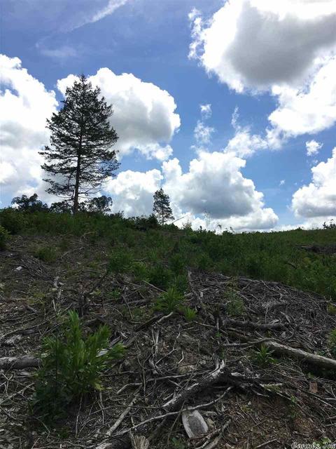 tbd Brady Mountain Rd, Royal, AR 71968 photo 6