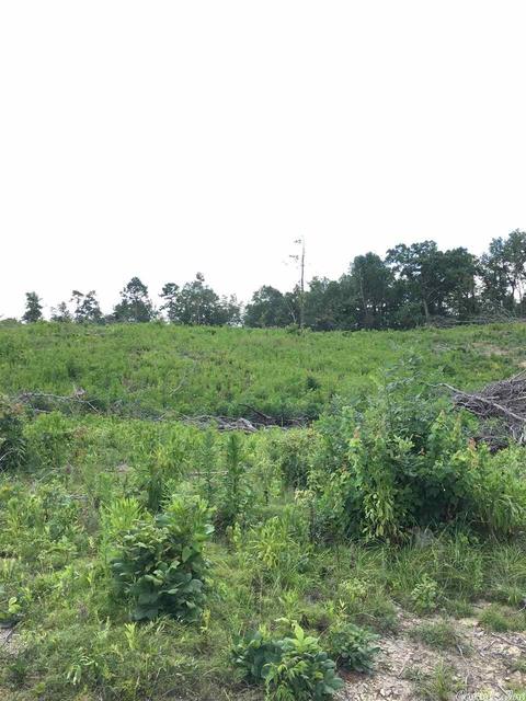 tbd Brady Mountain Rd, Royal, AR 71968 photo 2
