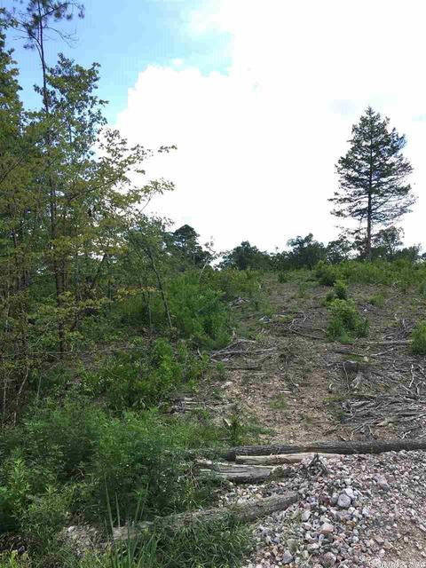 tbd Brady Mountain Rd, Royal, AR 71968 photo 10