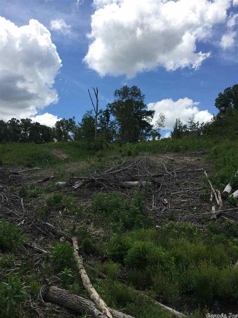 tbd Brady Mountain Rd, Royal, AR 71968 photo 5