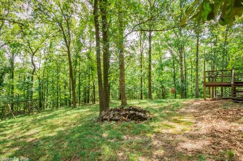 10220 Bear Ln, Benton, AR 72019 photo 32