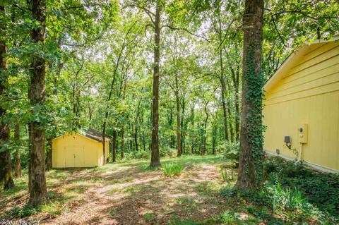 10220 Bear Ln, Benton, AR 72019 photo 30