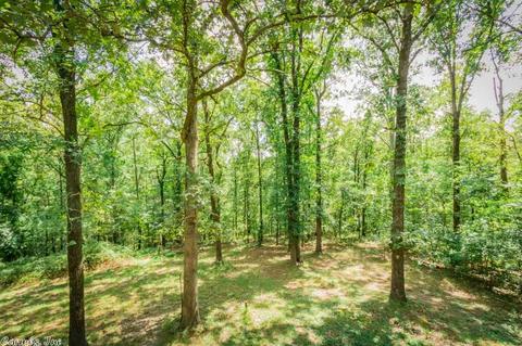 10220 Bear Ln, Benton, AR 72019 photo 33