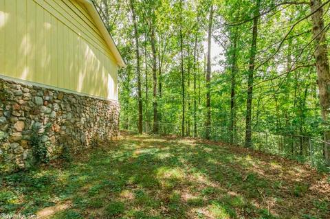 10220 Bear Ln, Benton, AR 72019 photo 29