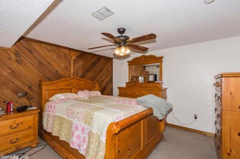 10220 Bear Ln, Benton, AR 72019 photo 23