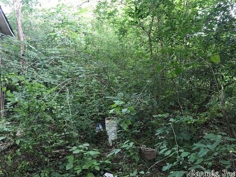 106 Farris Ave, Vandervoort, AR 71972 photo 3