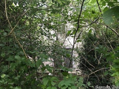 106 Farris Ave, Vandervoort, AR 71972 photo 2