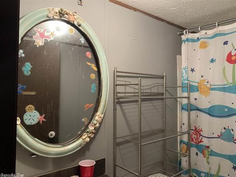 904 Brush Creek Rd, Marshall, AR 72650 photo 6