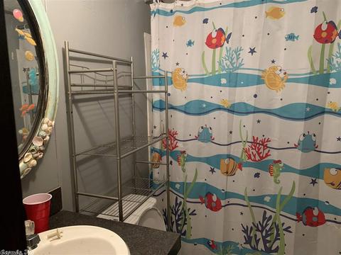 904 Brush Creek Rd, Marshall, AR 72650 photo 5