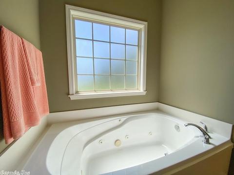 3 Northlake Cir, Conway, AR 72032 photo 13