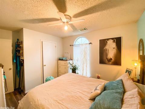 913 Cole Dr, Benton, AR 72015 photo 9