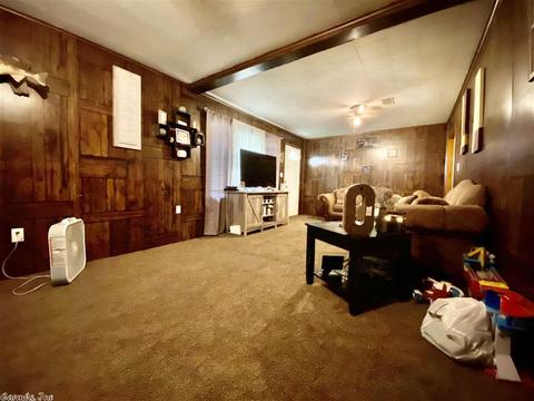 317 Lawrence 702, Walnut Ridge, AR 72476 photo 11