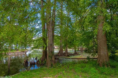 179 Jackson Ave, Mayflower, AR 72106 photo 36