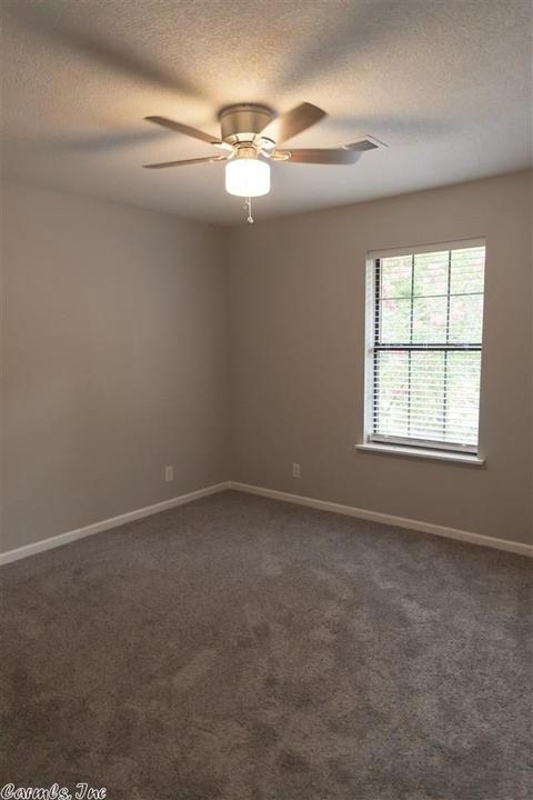 18951 Tadlock Cir, Alexander, AR 72002 photo 18