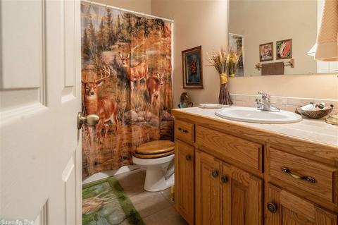 309 Shields Ln, Clinton, AR 72031 photo 24