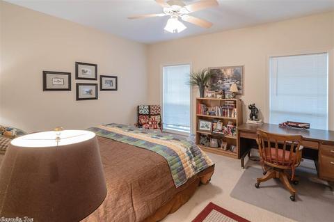 309 Shields Ln, Clinton, AR 72031 photo 23