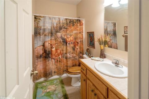 309 Shields Ln, Clinton, AR 72031 photo 21