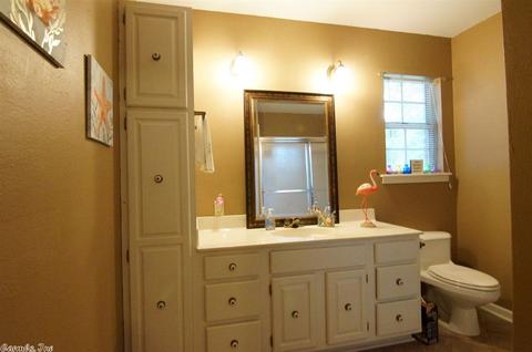 14 Sunset Loop, Lonoke, AR 72086 photo 26