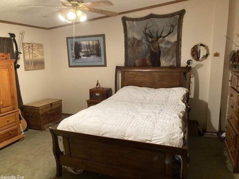 13 Bobby Dr, Greenbrier, AR 72058 photo 25