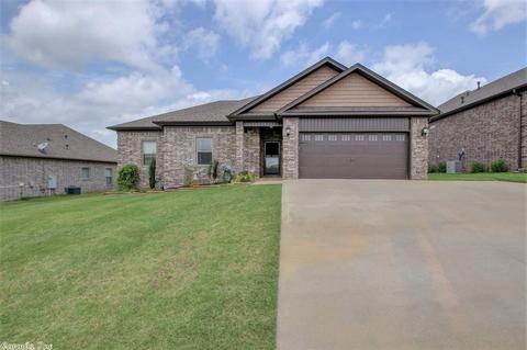 740 Mango Loop, Austin, AR 72007 photo 2