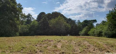 16 White Cloud Dr, Greenbrier, AR 72058 photo 1