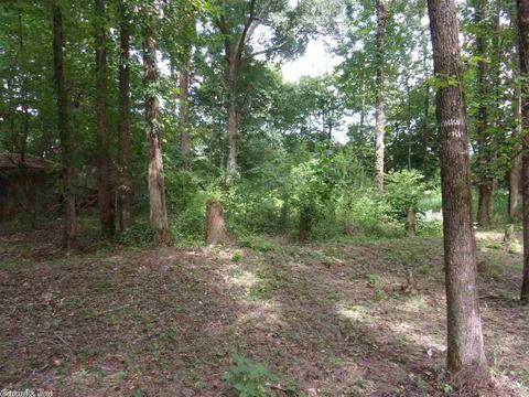 9708 Patsy Dr, Cabot, AR 72023 photo 22