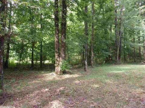 9708 Patsy Dr, Cabot, AR 72023 photo 23