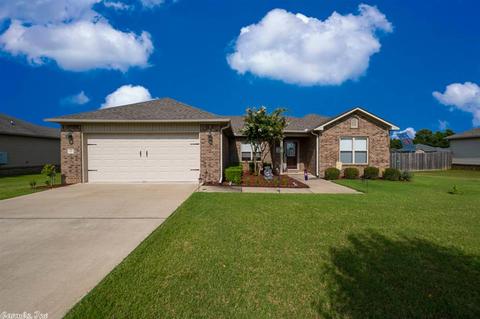 13 Mulberry Loop, Ward, AR 72176 photo 1