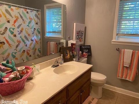 19 Manchester, Conway, AR 72034 photo 8