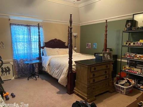 19 Manchester, Conway, AR 72034 photo 12