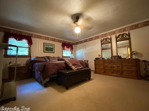 2513 Phillips St, Corning, AR 72422 photo 24