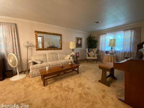 2513 Phillips St, Corning, AR 72422 photo 10
