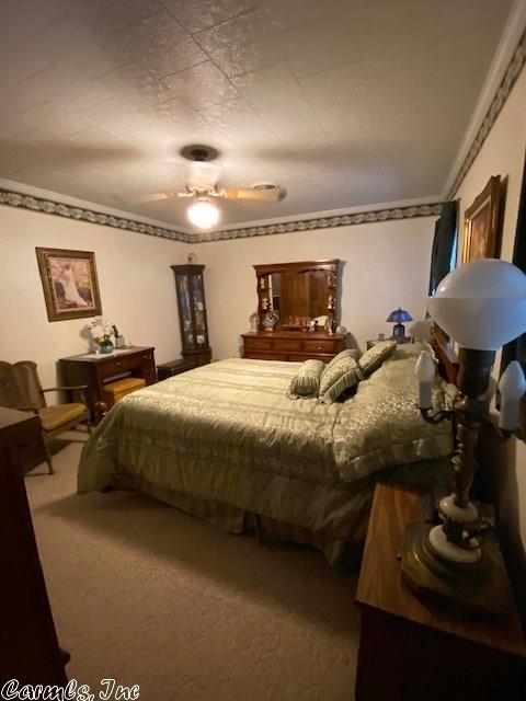 2513 Phillips St, Corning, AR 72422 photo 23